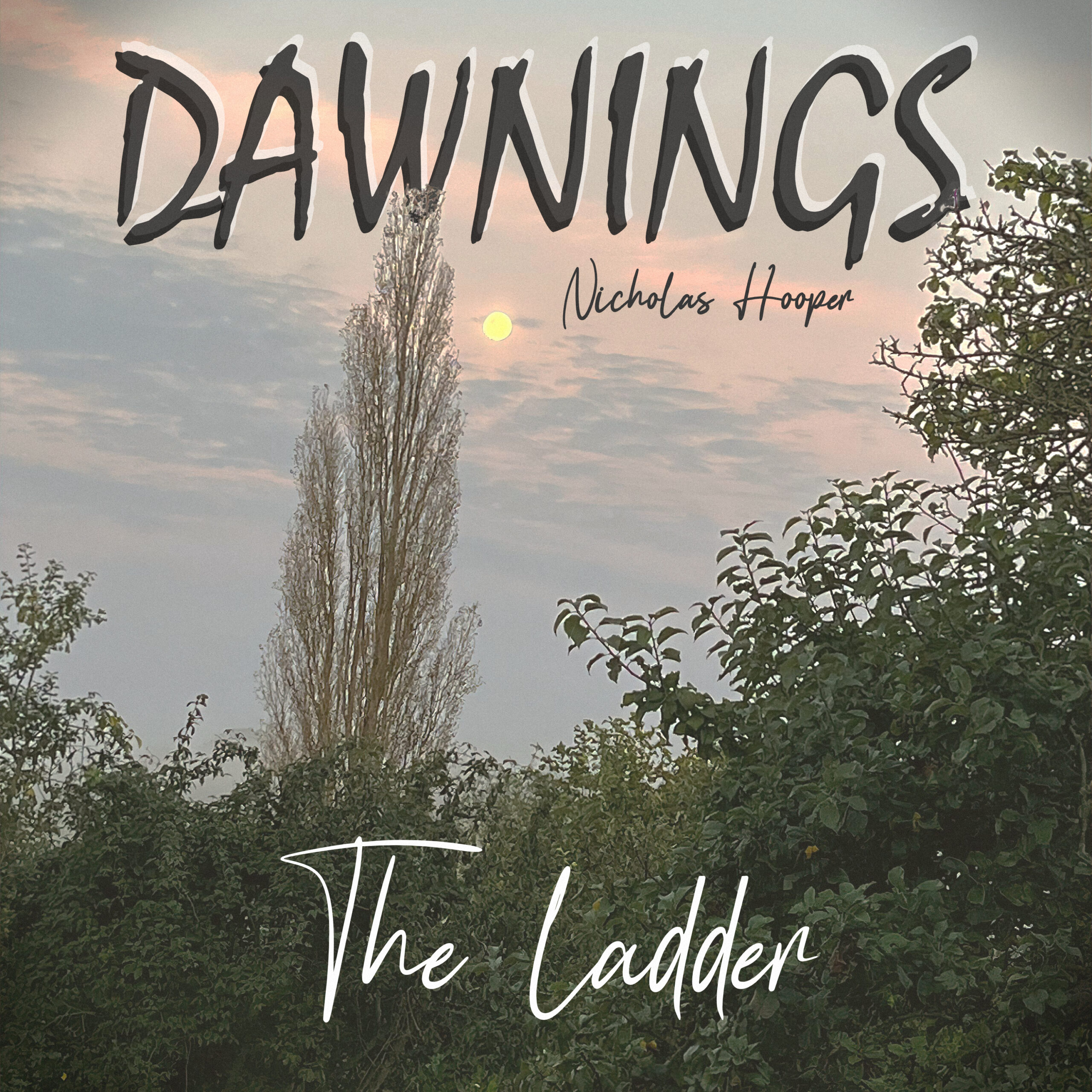 Featured image for “The ladder”