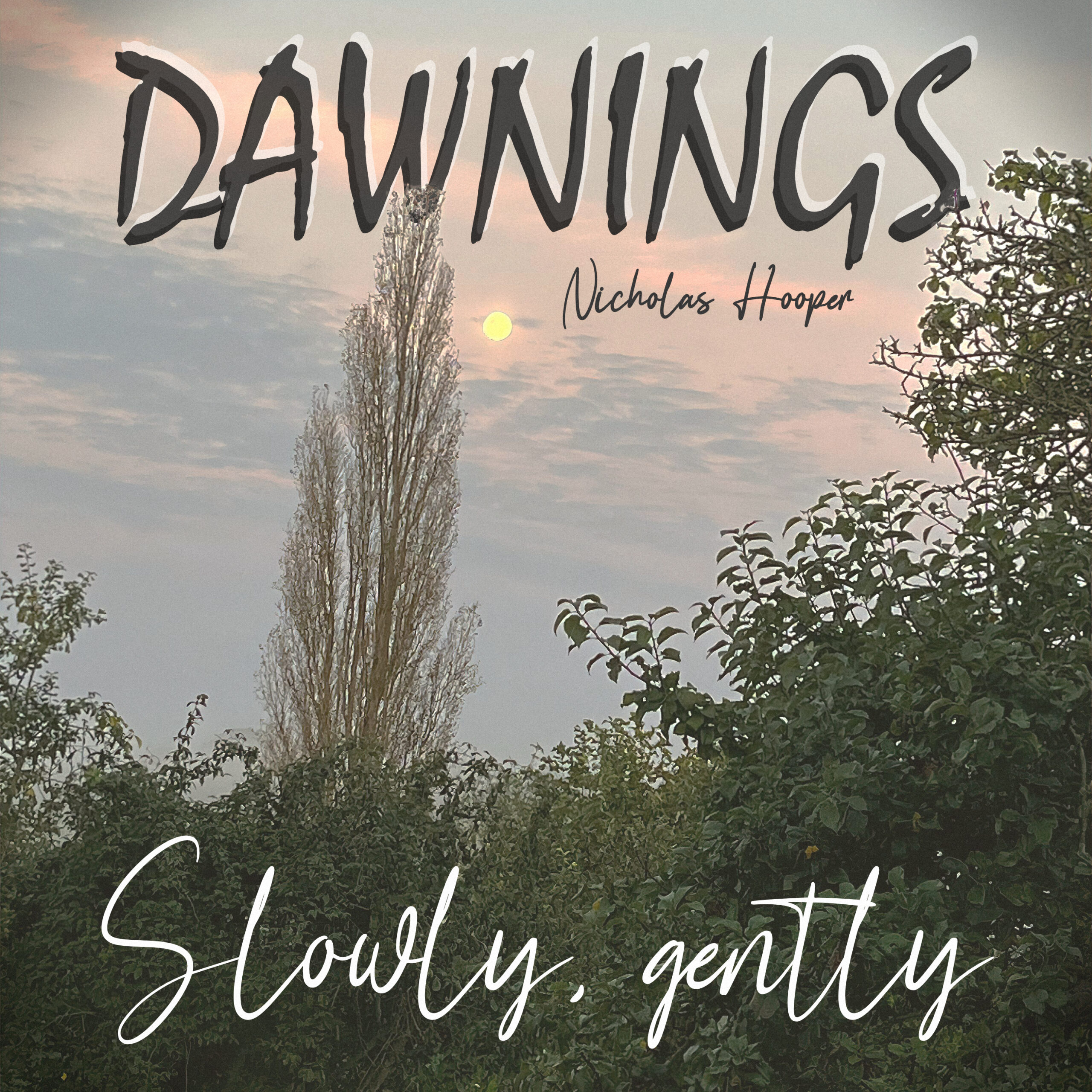 Featured image for “Slowly, gently”