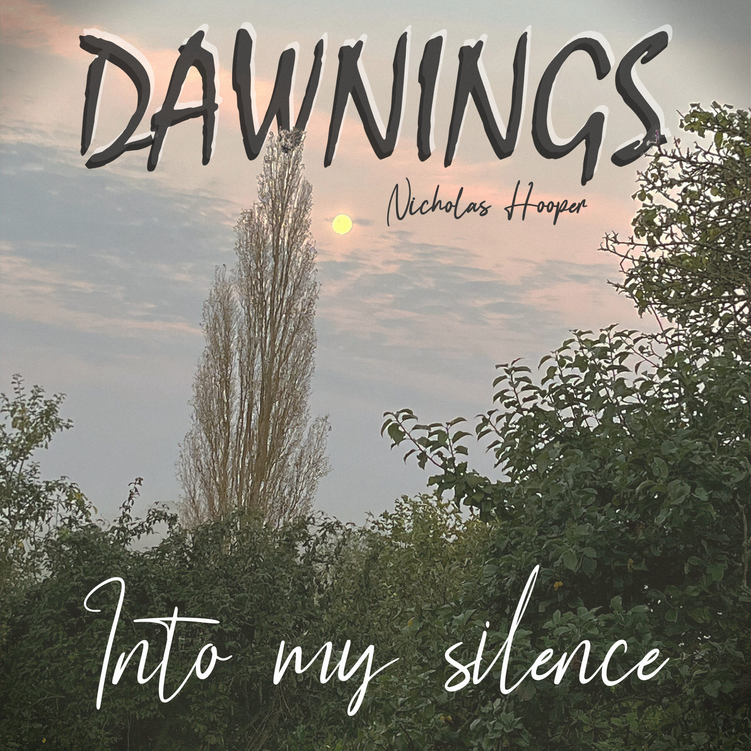 Featured image for “Into my silence”