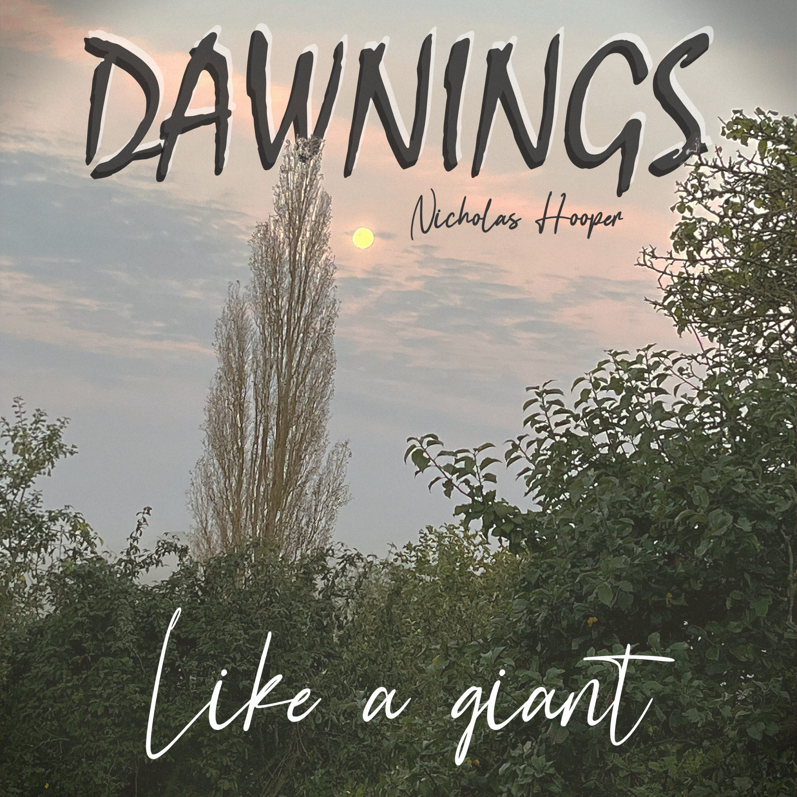 Featured image for “Like a giant”