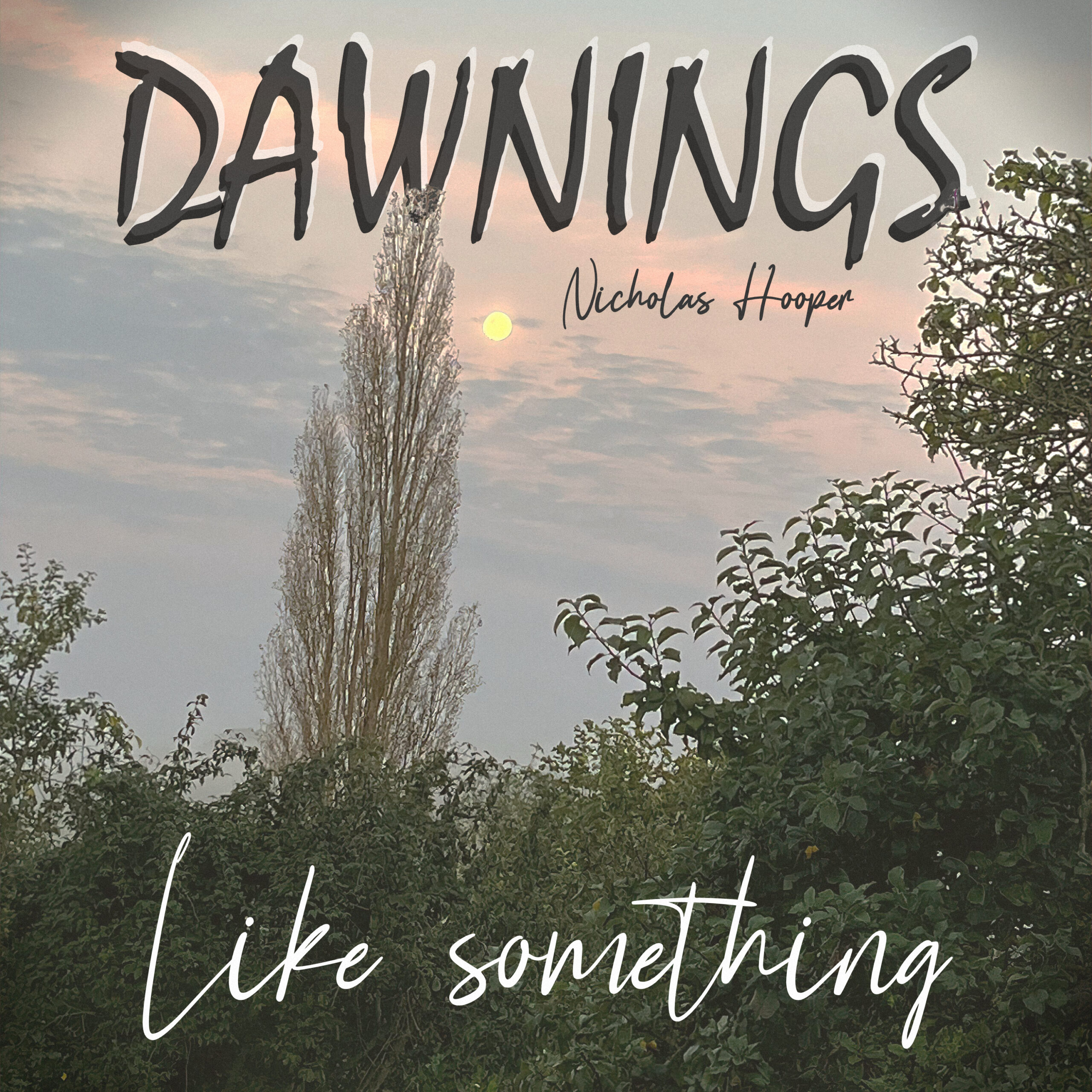 Featured image for “Like something”