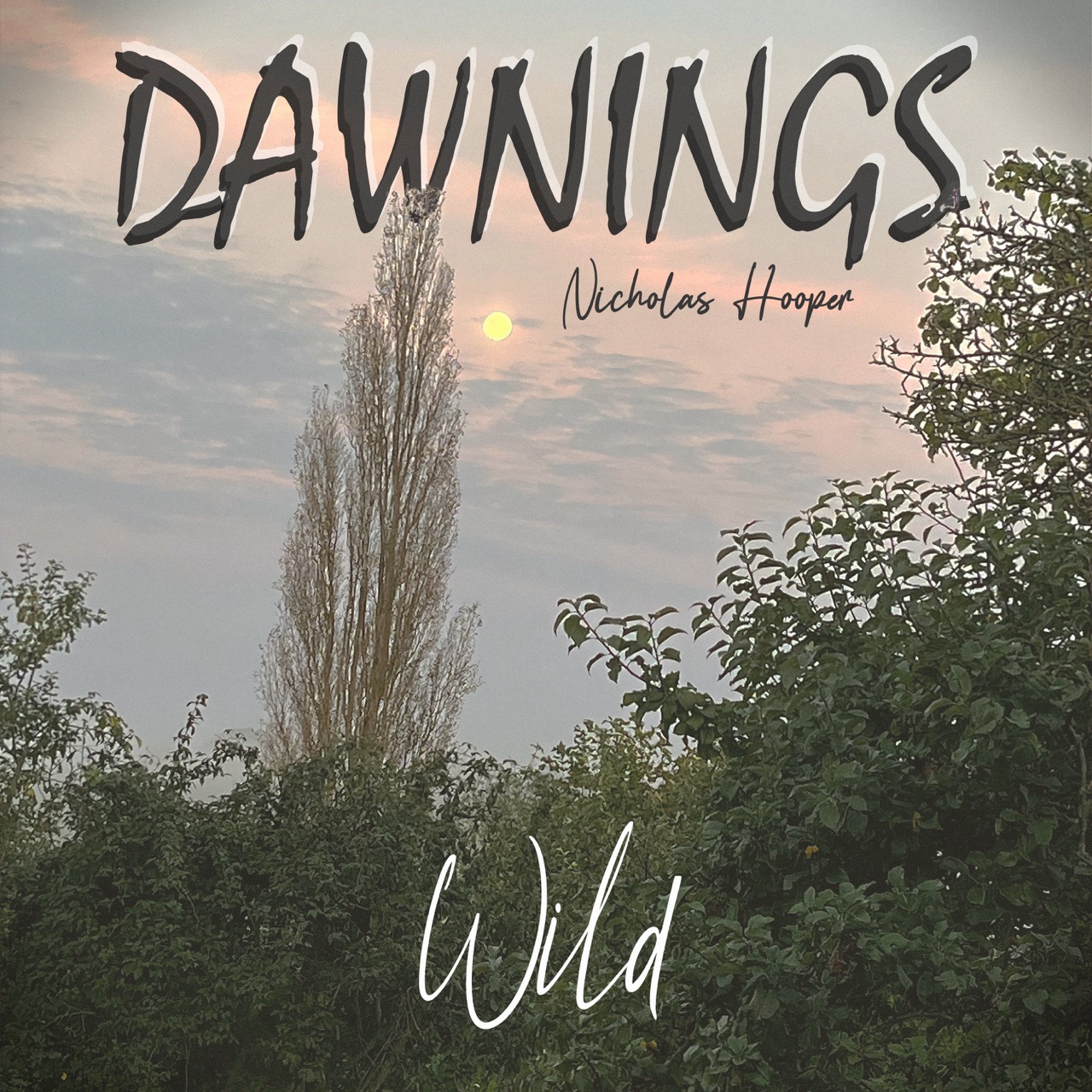 Featured image for “Wild”