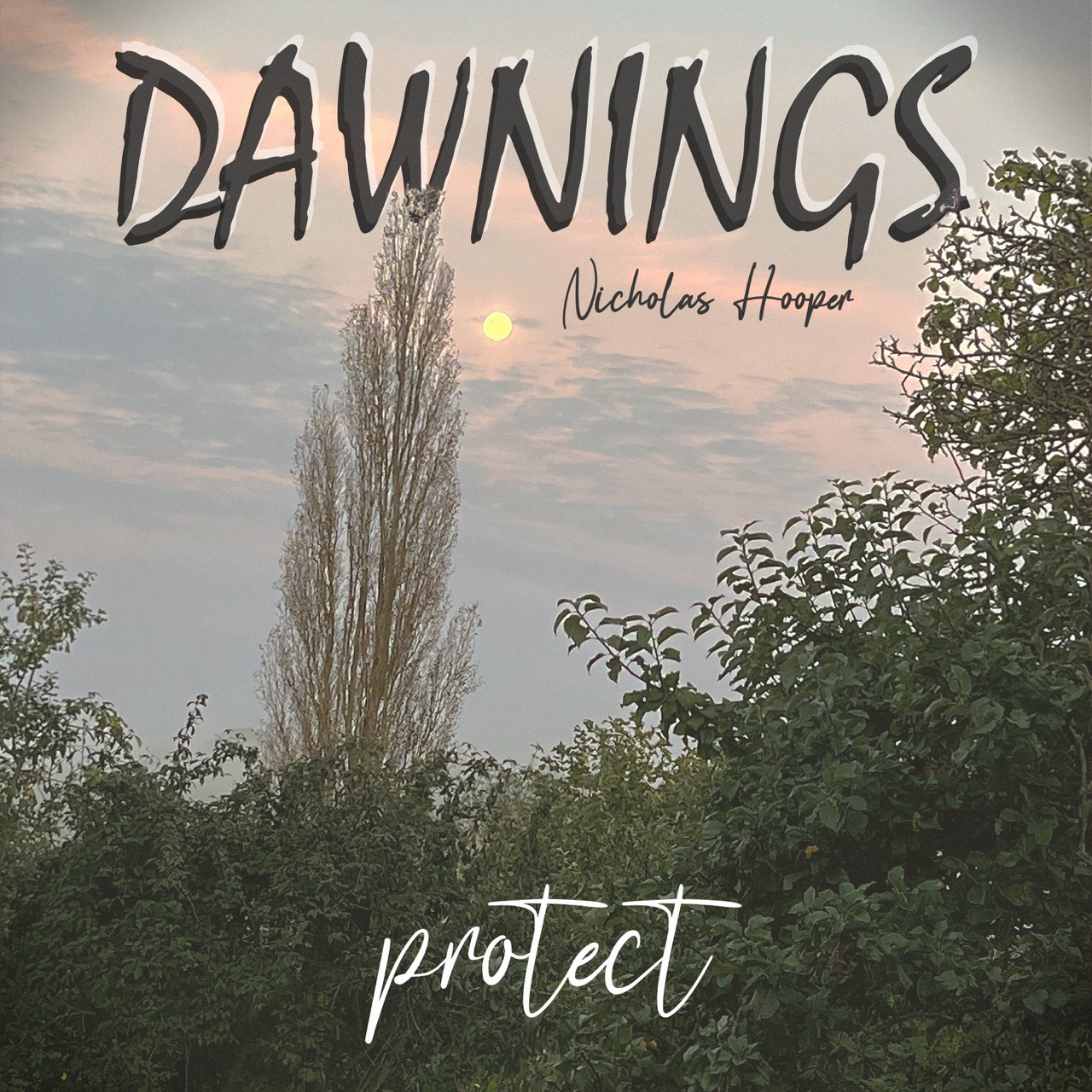 Featured image for “protect”