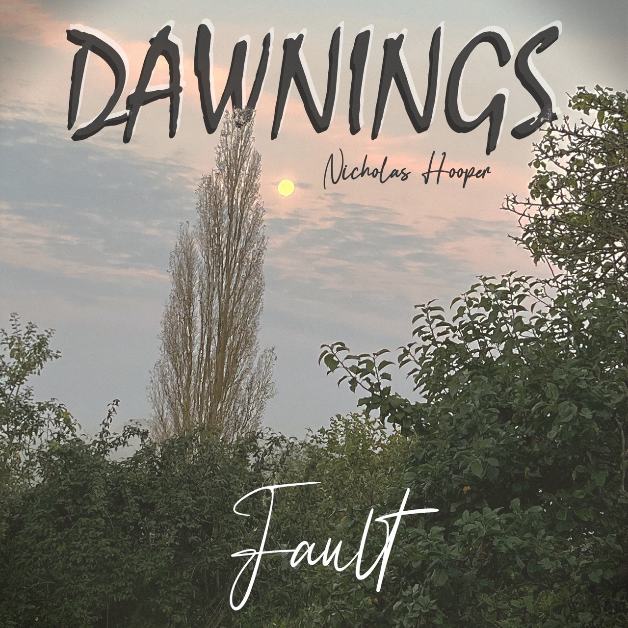 Featured image for “Fault”