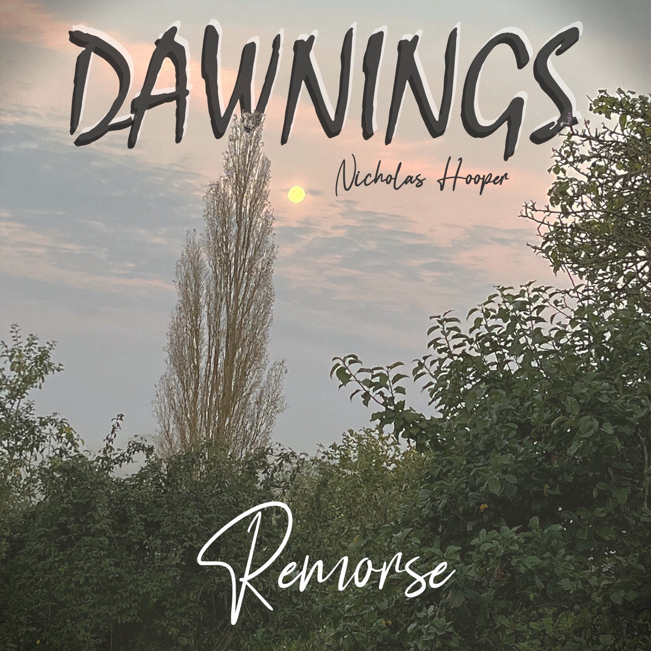 Featured image for “Remorse”