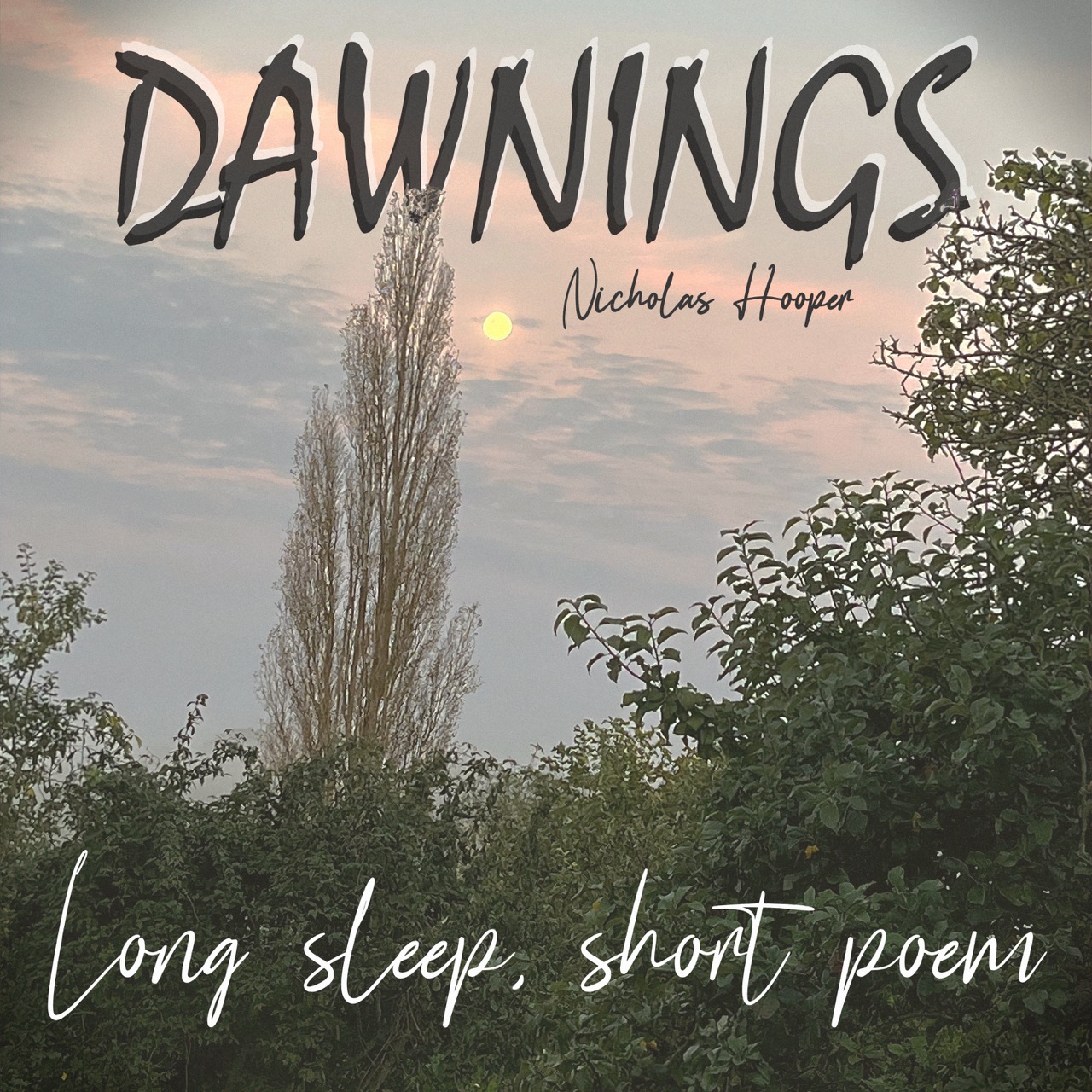 Featured image for “Long sleep, short poem”