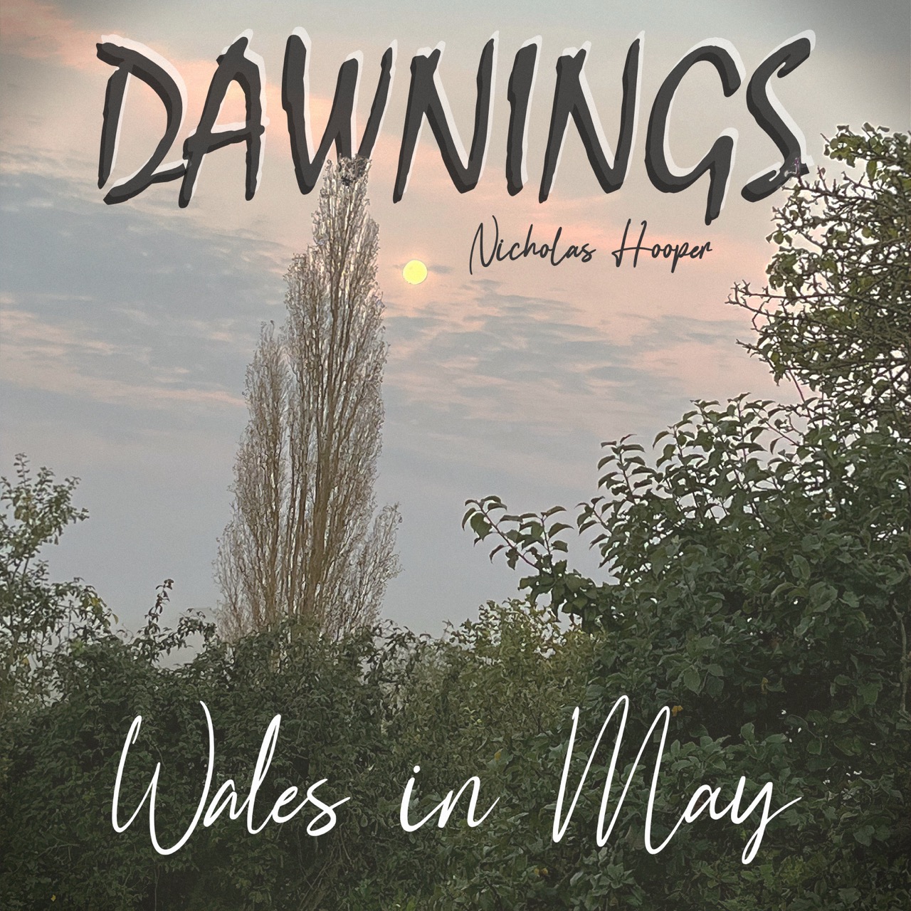 Featured image for “Wales in May”