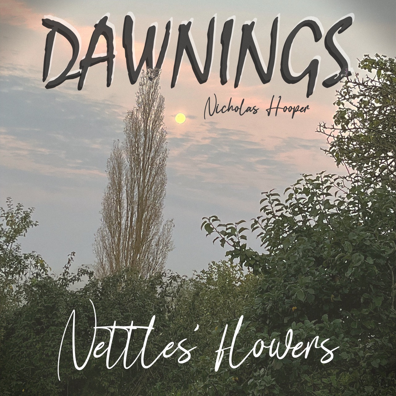 Featured image for “Nettles’ flowers”