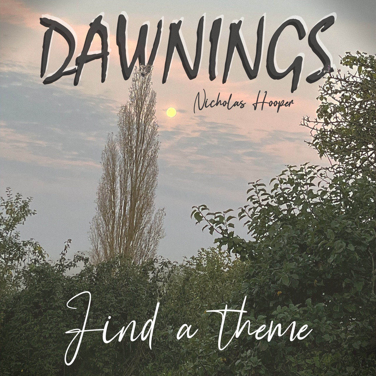 Featured image for “Find a theme”