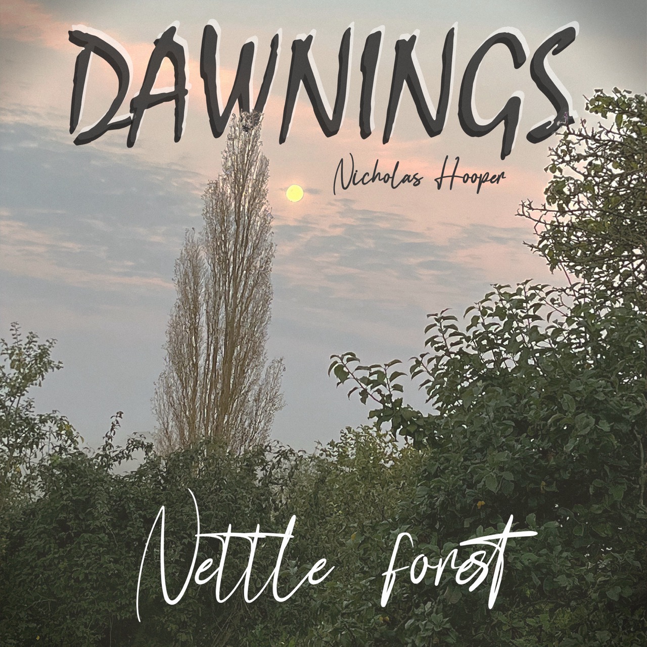 Featured image for “Nettle forest”