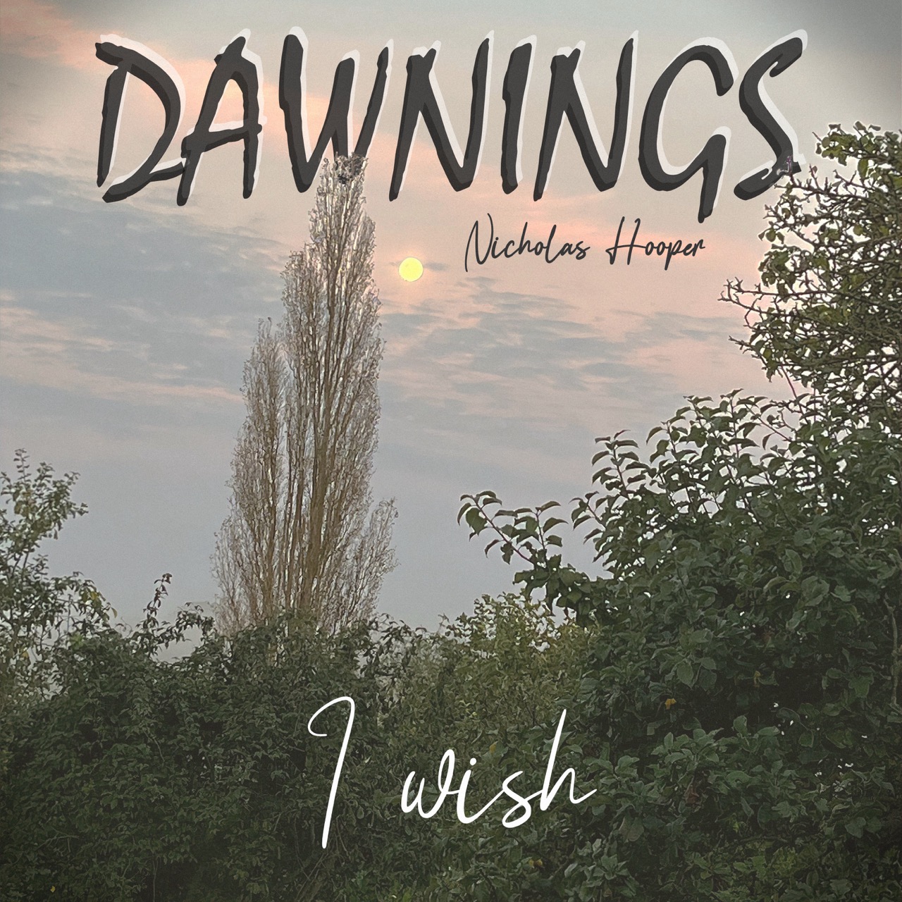 Featured image for “I wish”