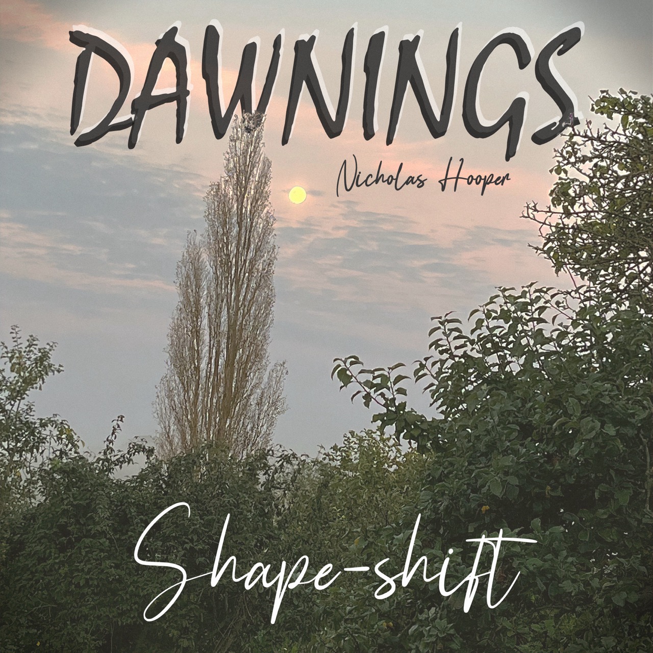 Featured image for “Shape-shift”
