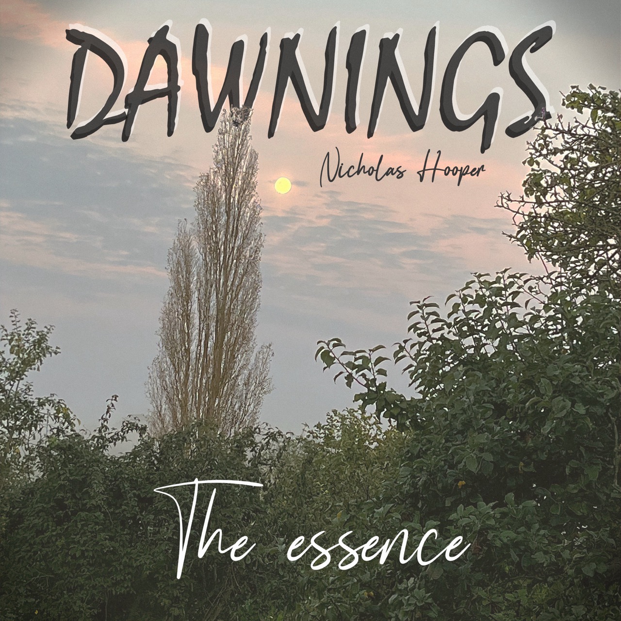 Featured image for “The essence”