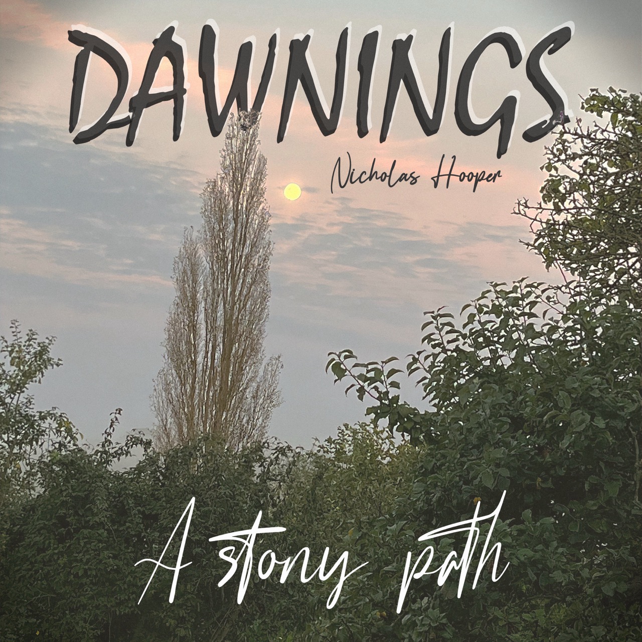 Featured image for “A stony path”
