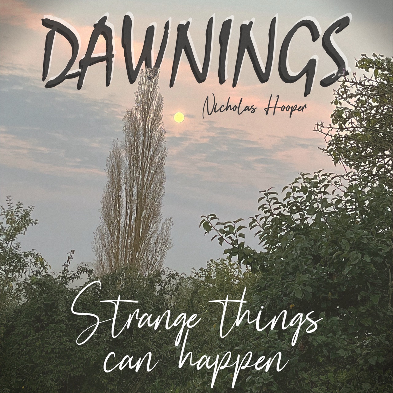 Featured image for “Strange things can happen”