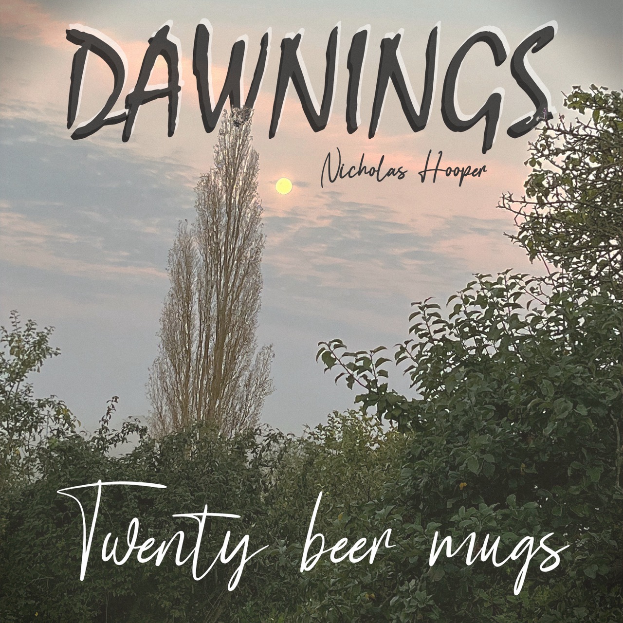 Featured image for “Twenty beer mugs”