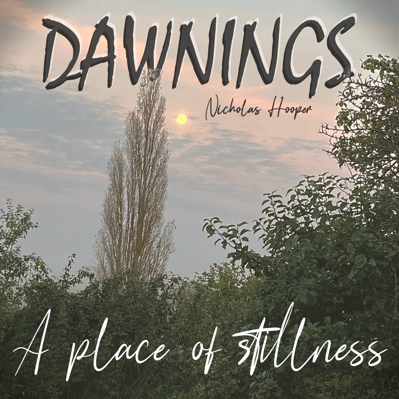Featured image for “A place of stillness”