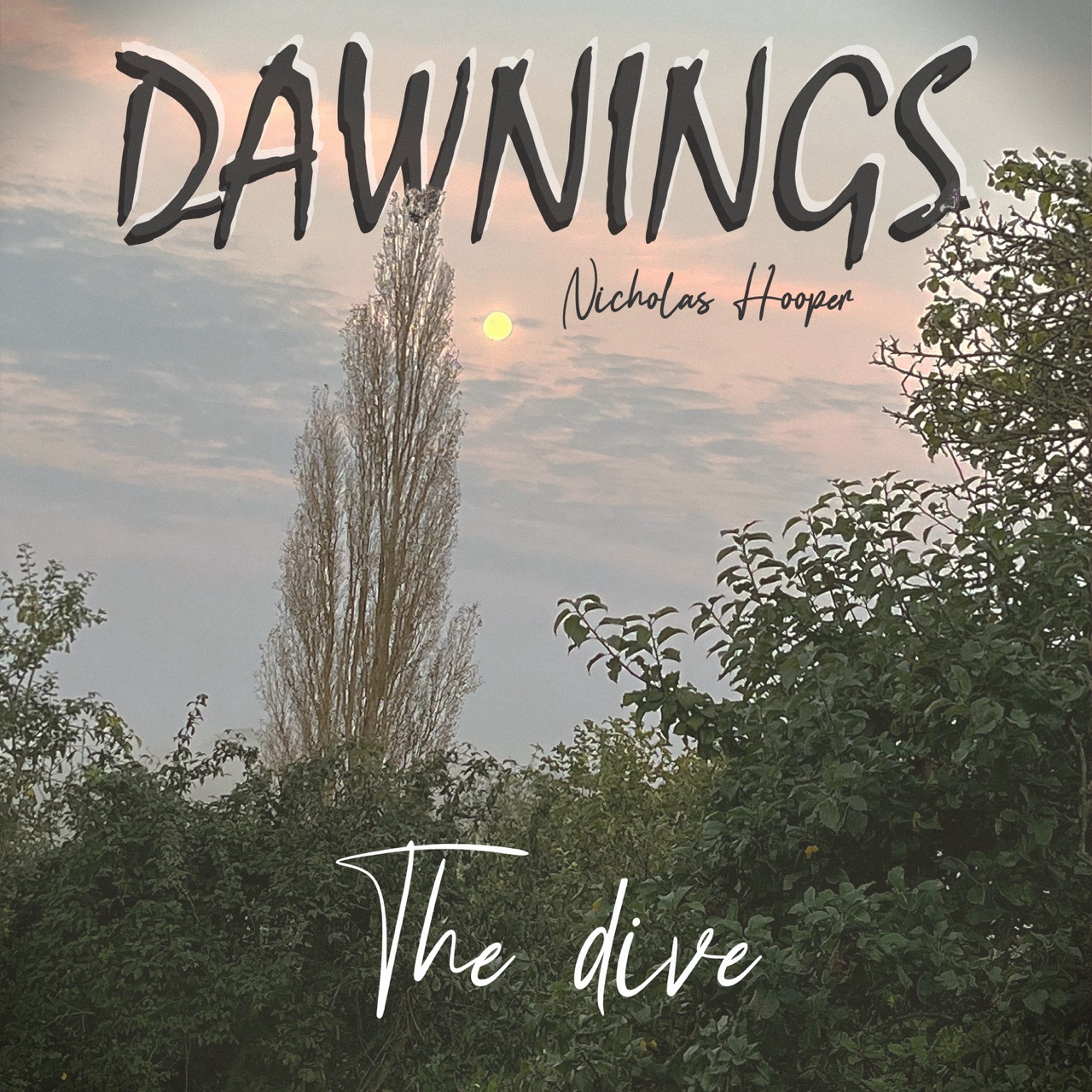 Featured image for “The dive”