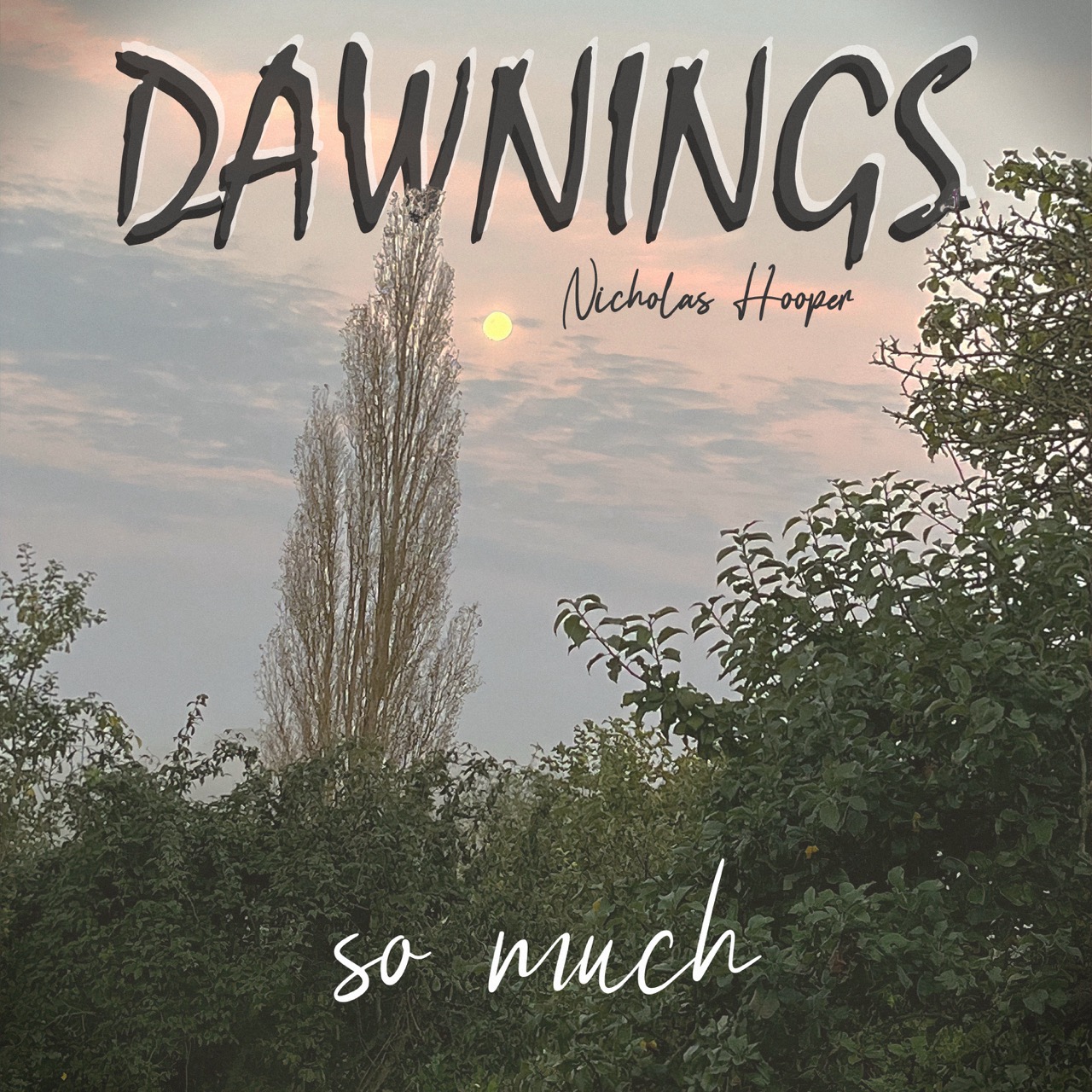 Featured image for “so much”