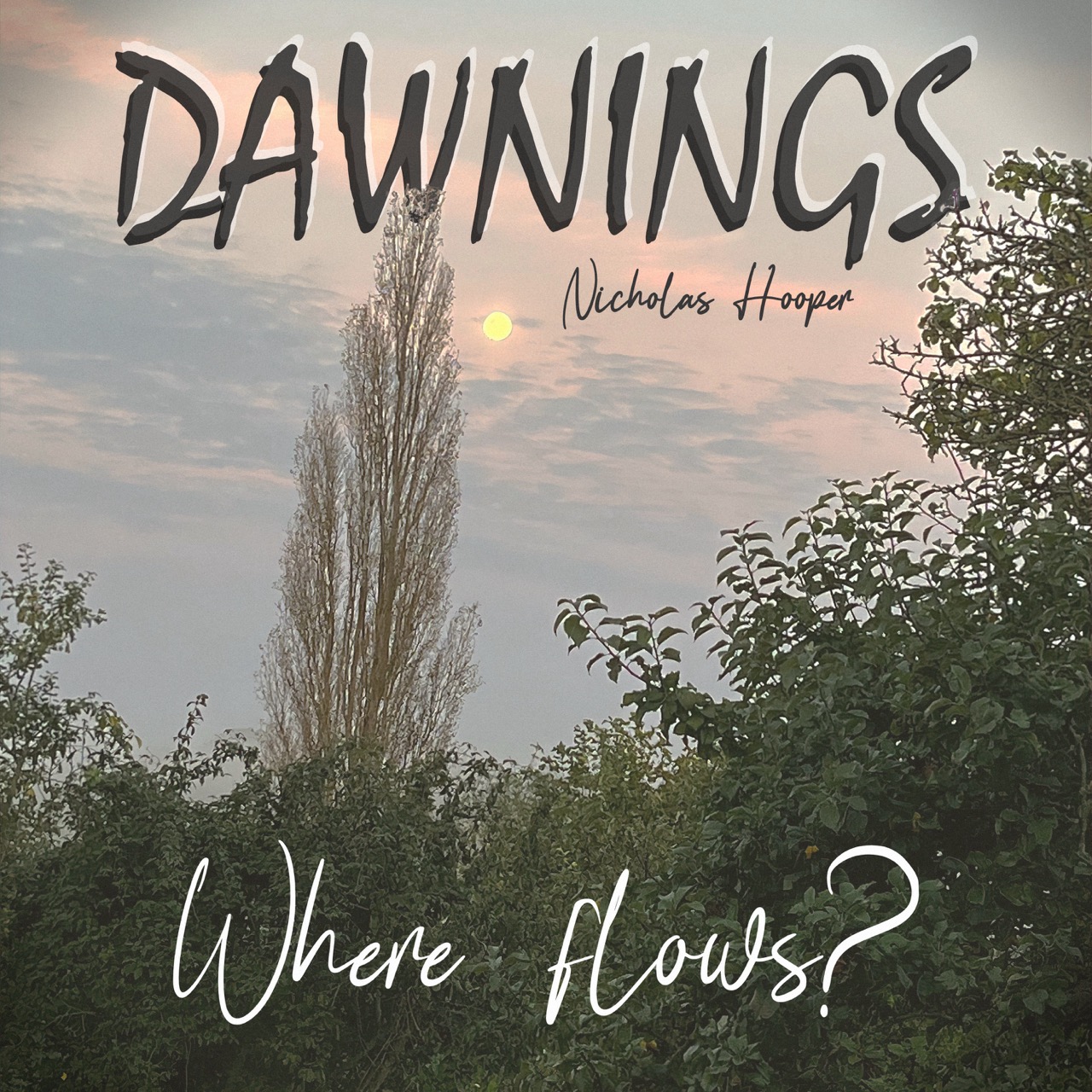 Featured image for “Where flows?”