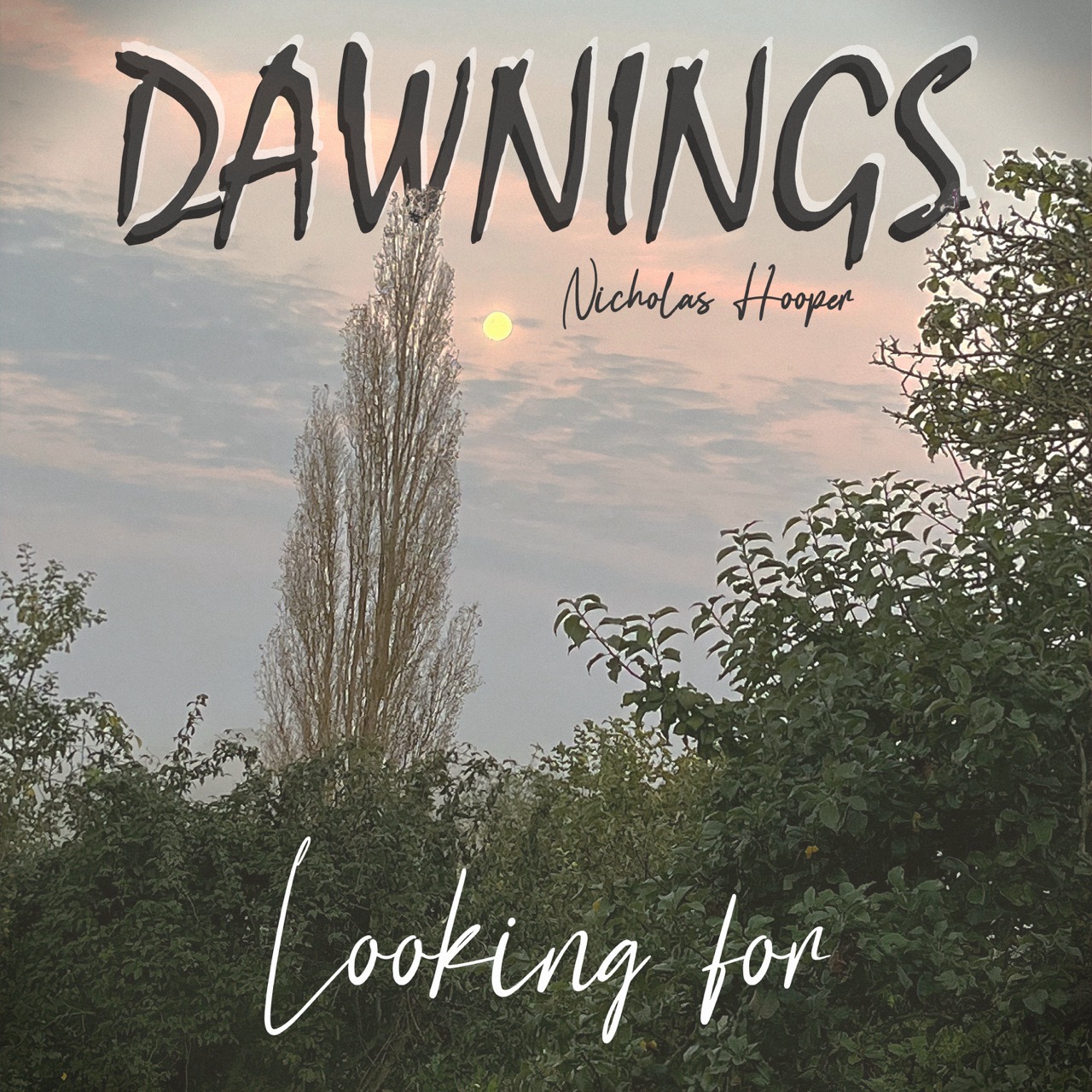 Featured image for “Looking for”