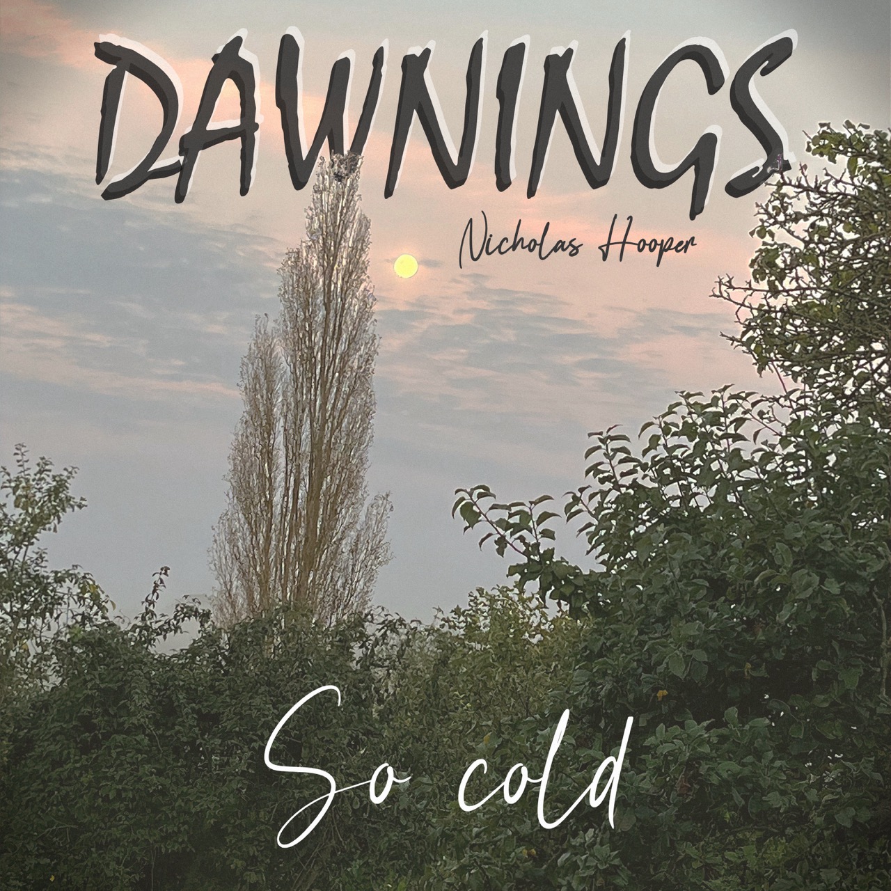 Featured image for “So cold”