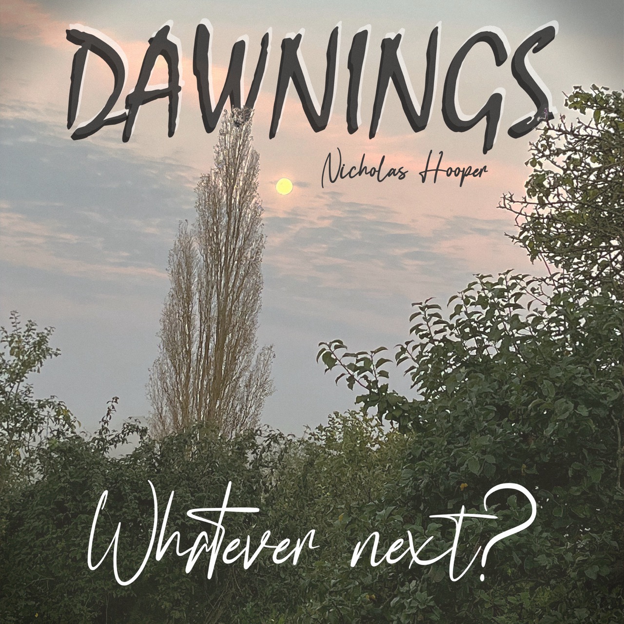 Featured image for “Whatever next?”