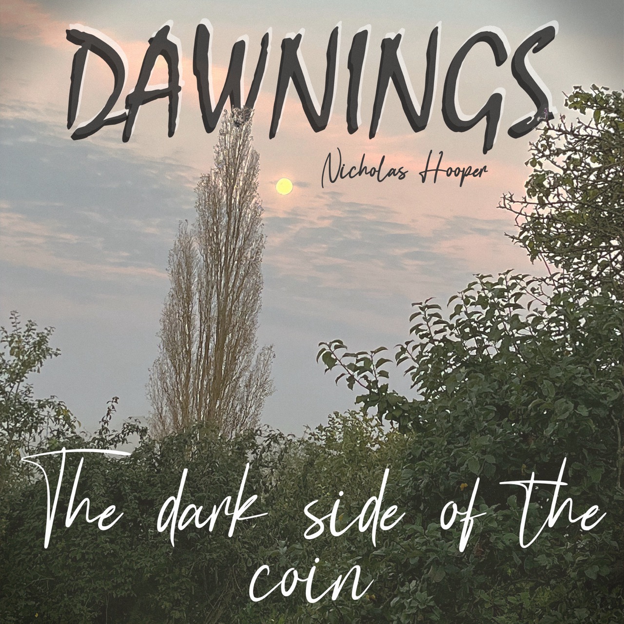Featured image for “The dark side of the coin”