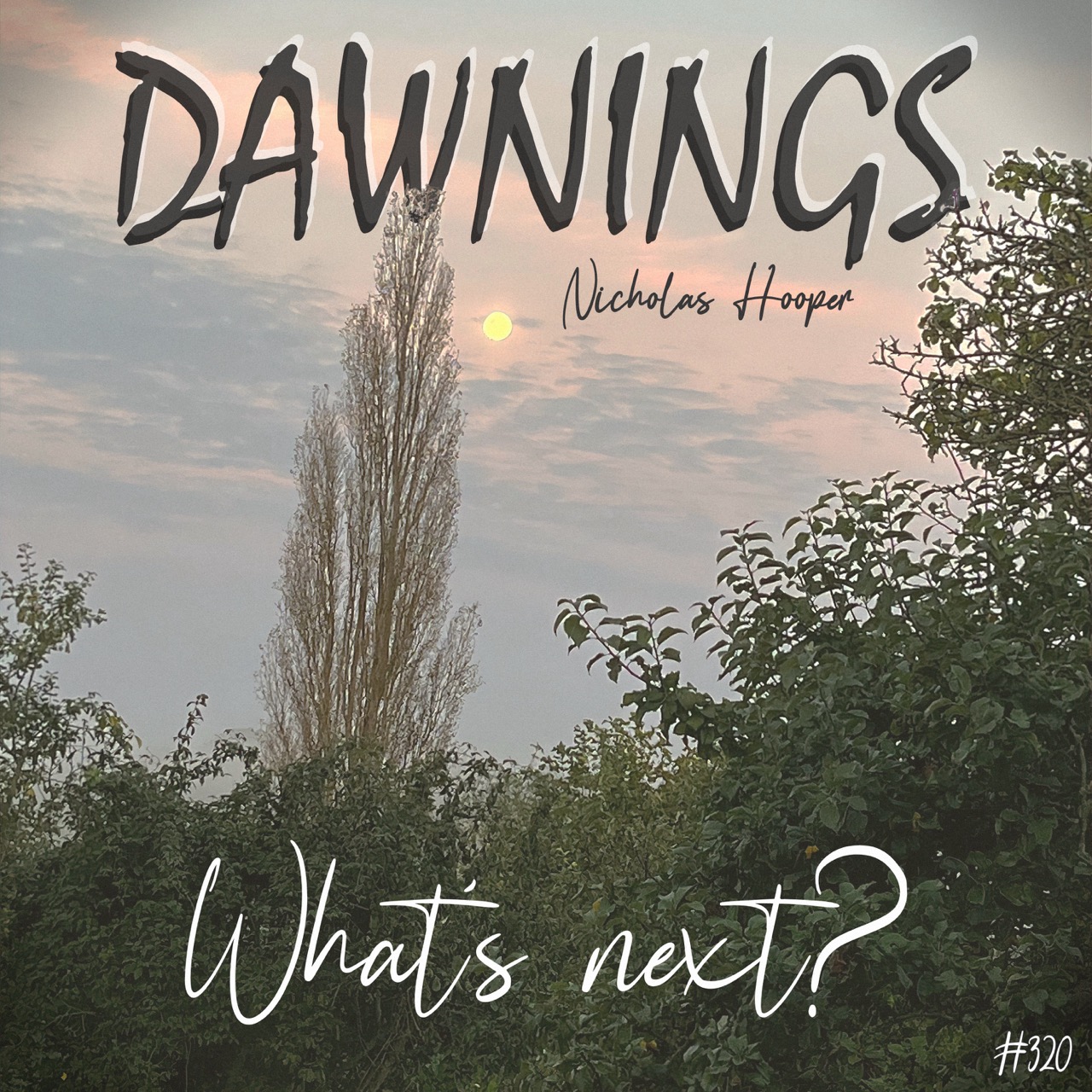 Featured image for “What’s next?”