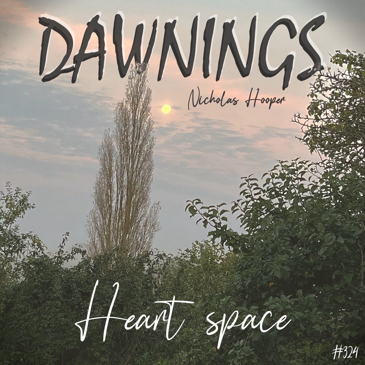 Featured image for “Heart space”