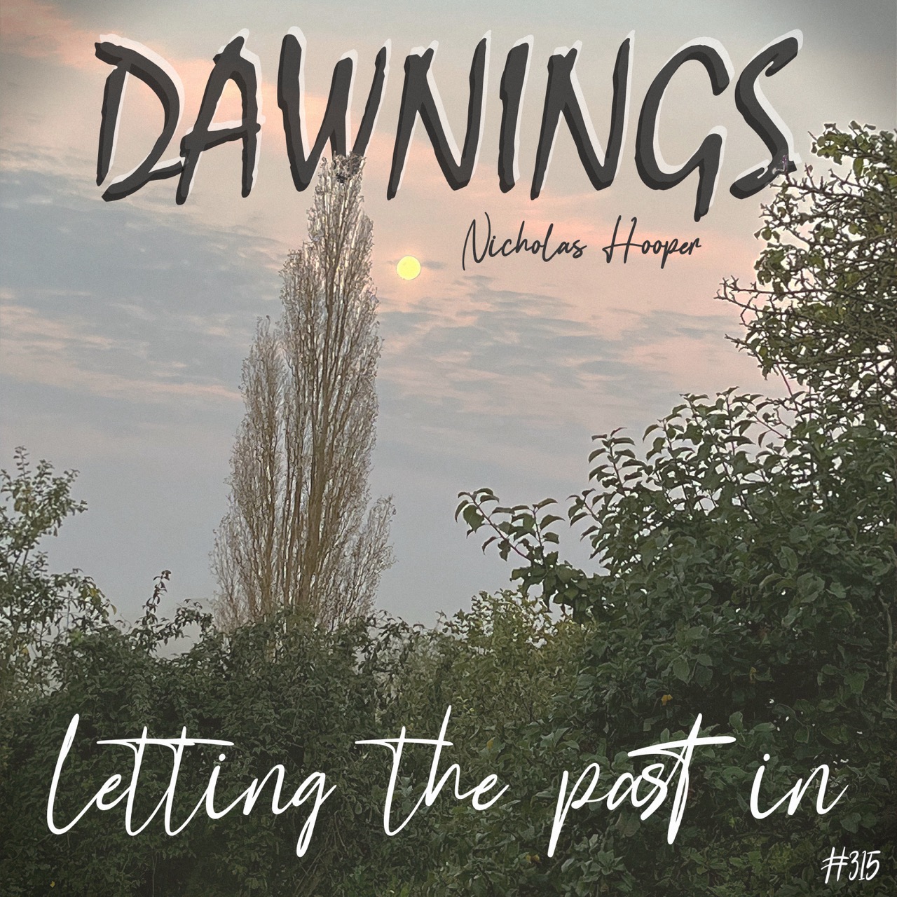 Featured image for “letting the past in”