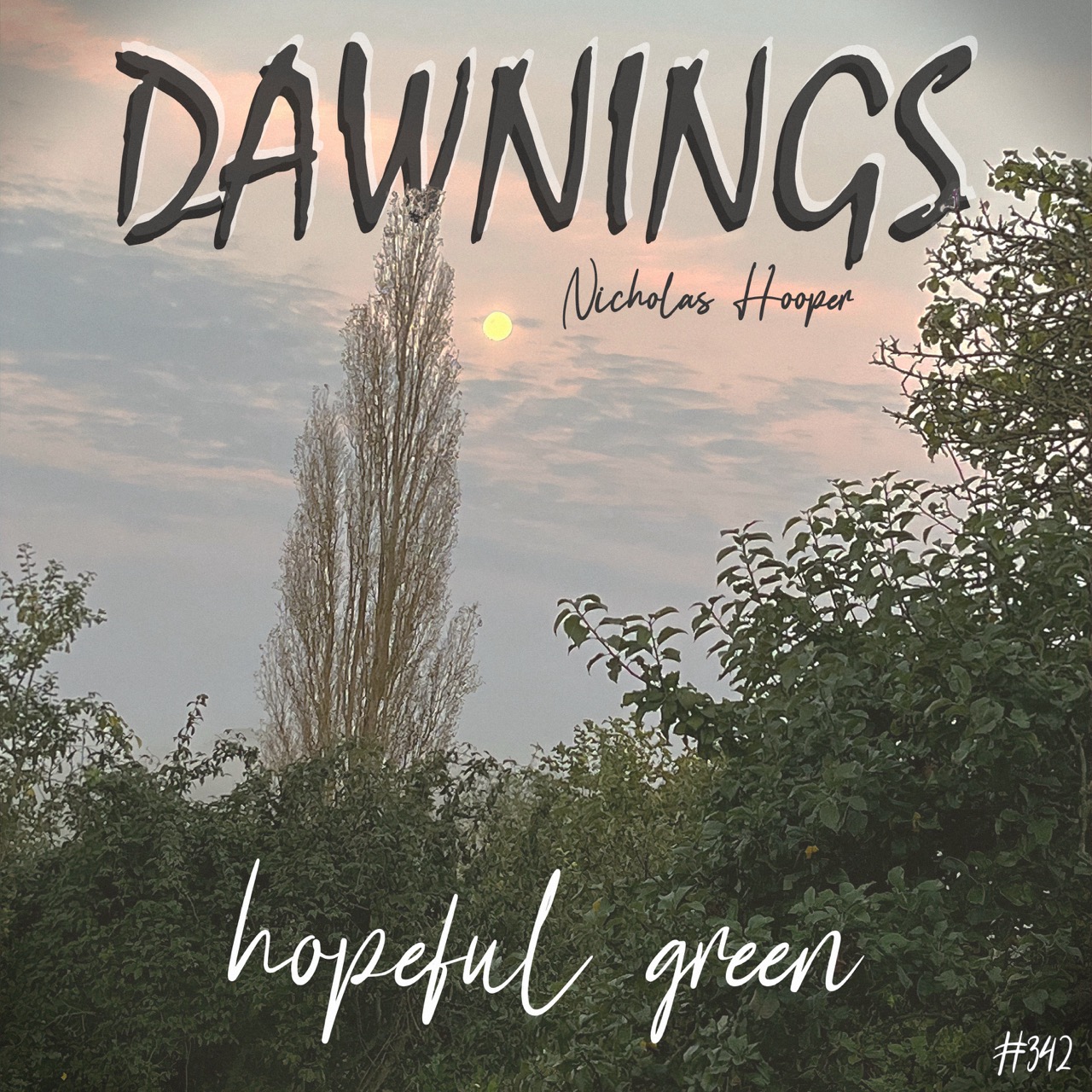 Featured image for “hopeful green”