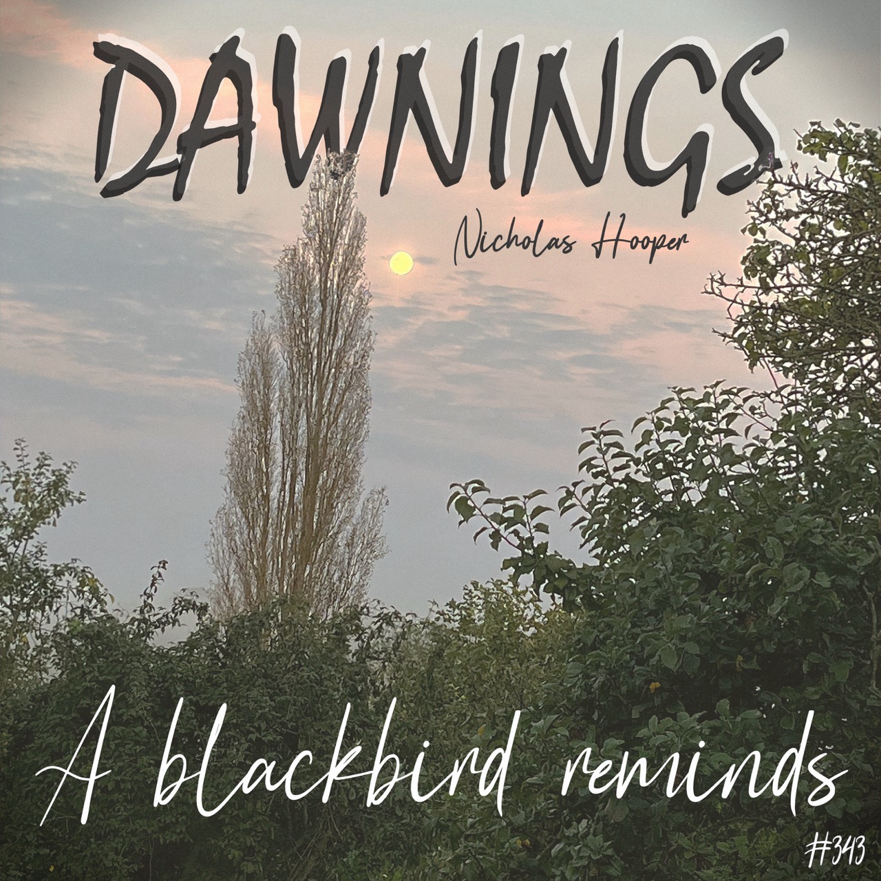 Featured image for “A blackbird reminds”