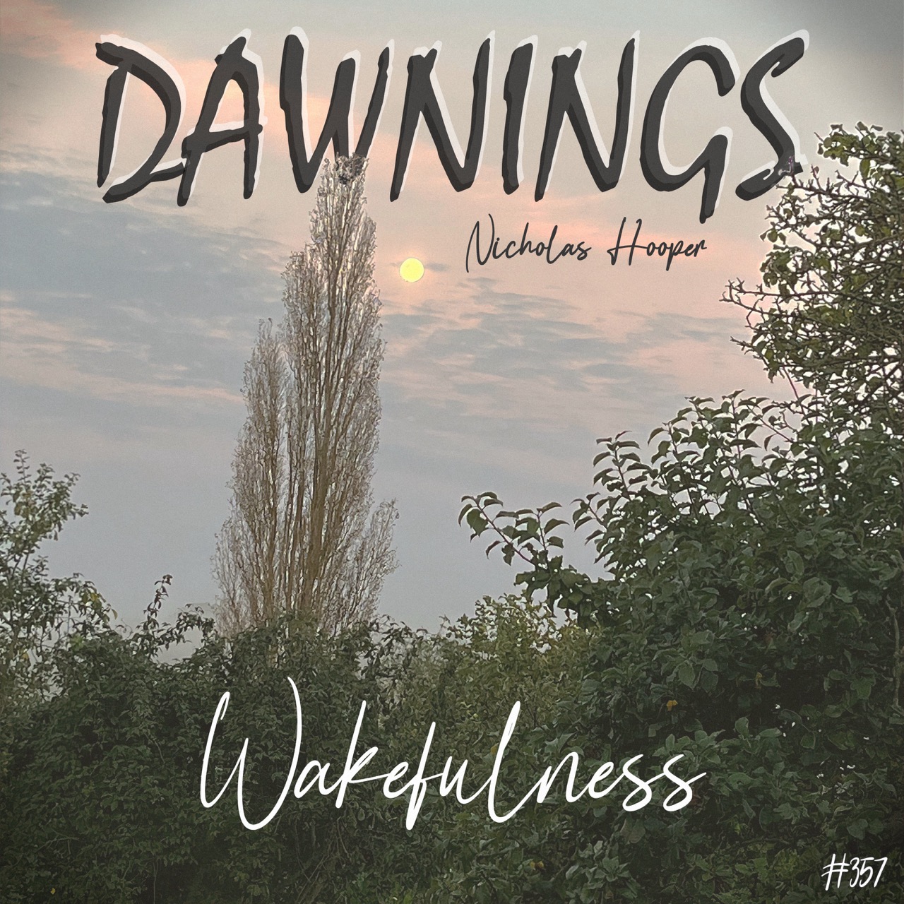 Featured image for “Wakefulness”