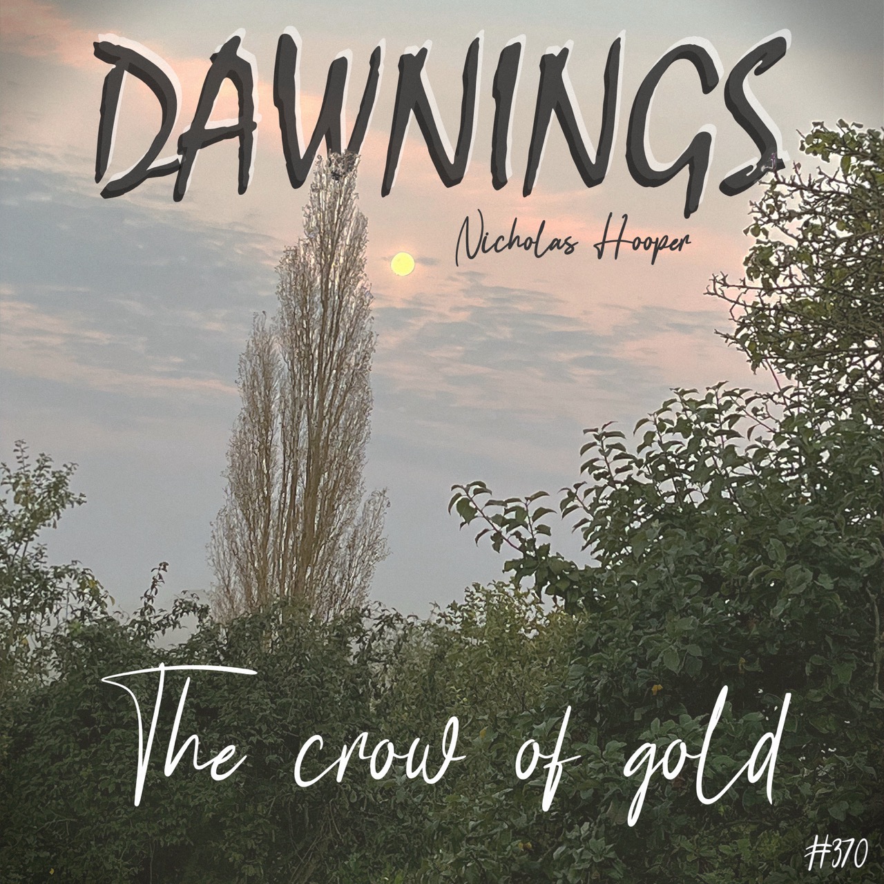 Featured image for “The crow of gold”