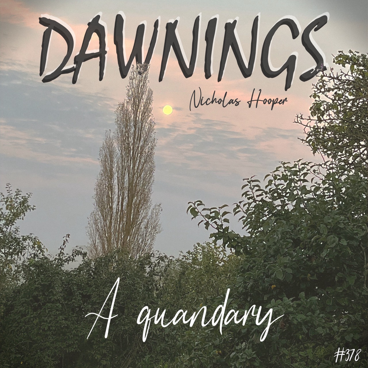 Featured image for “A quandary”