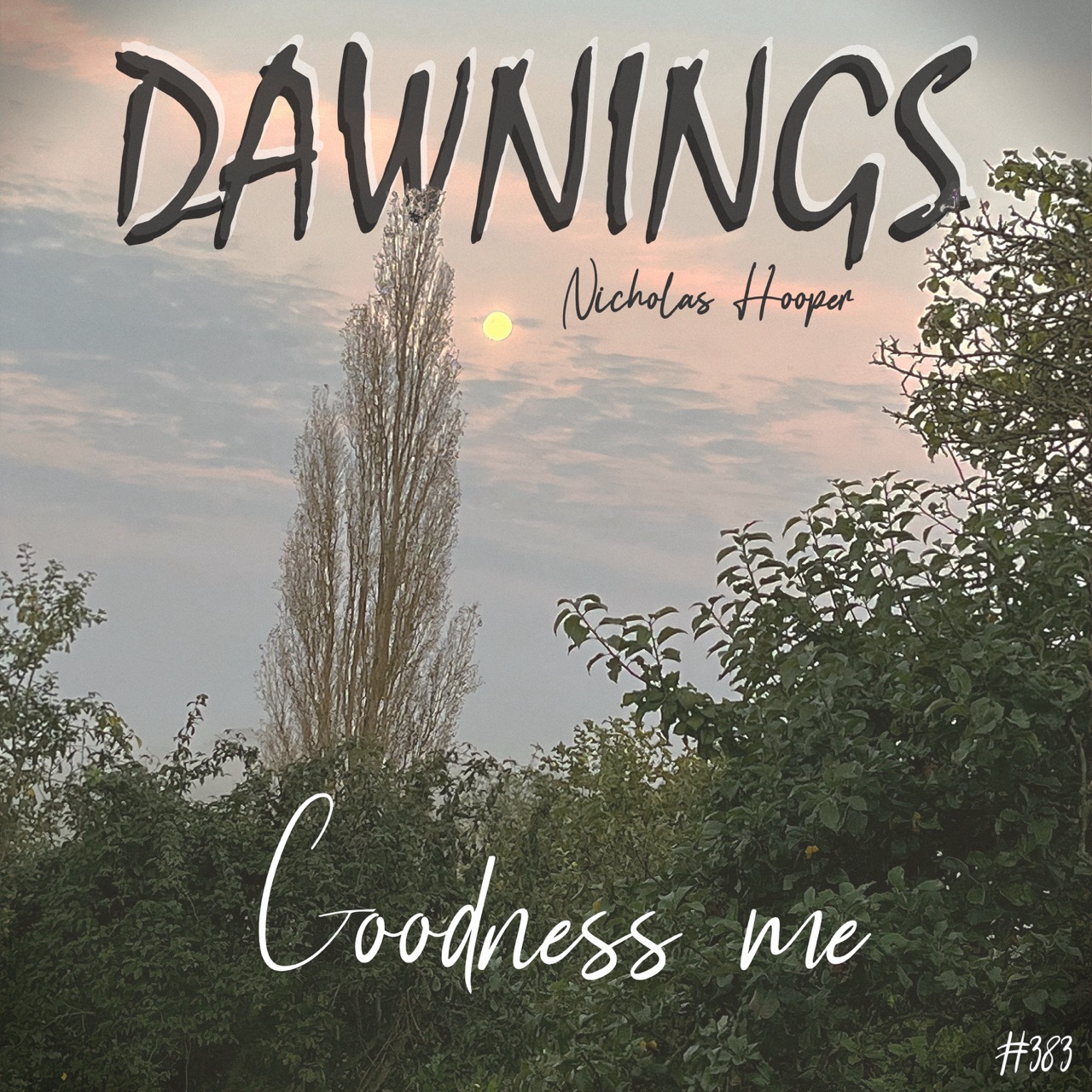 Featured image for “Goodness me”