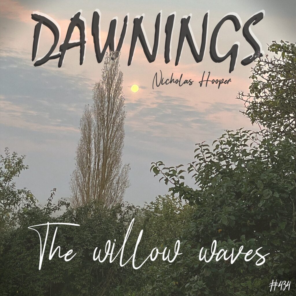 The willow waves