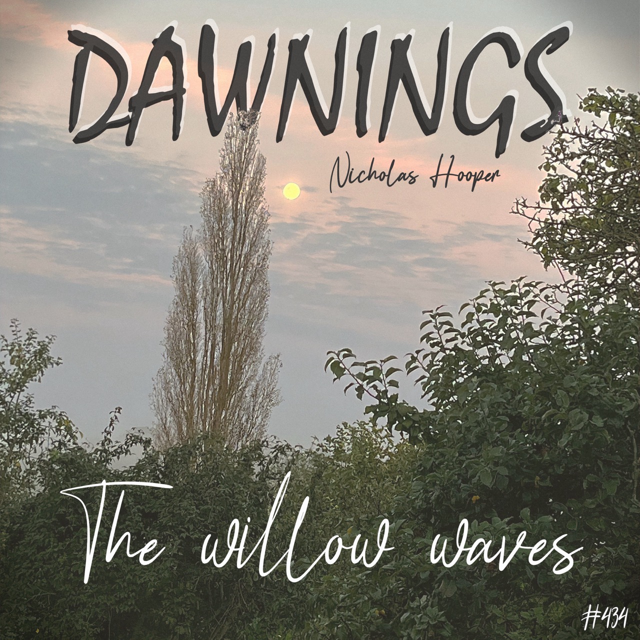 Featured image for “The willow waves”