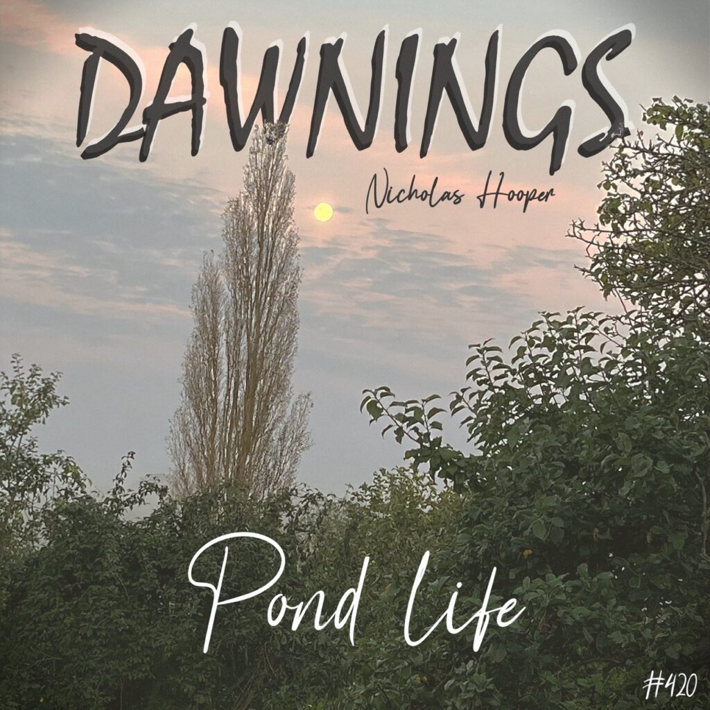 Pond life