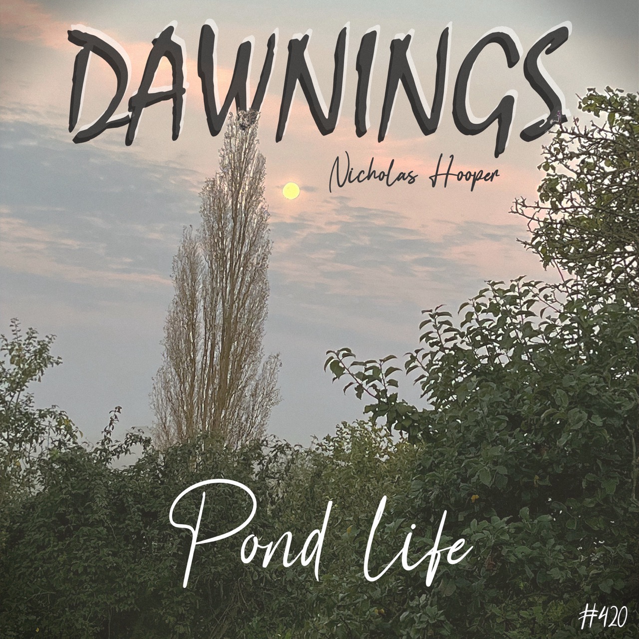 Featured image for “Pond life”