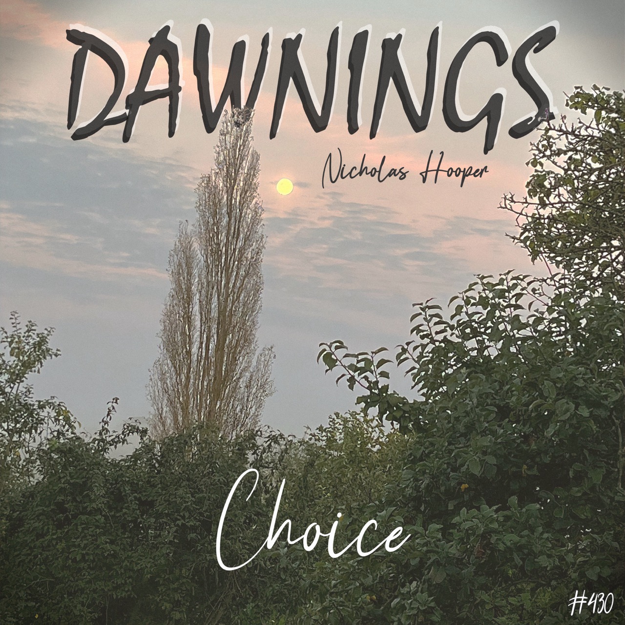 Featured image for “Choice”