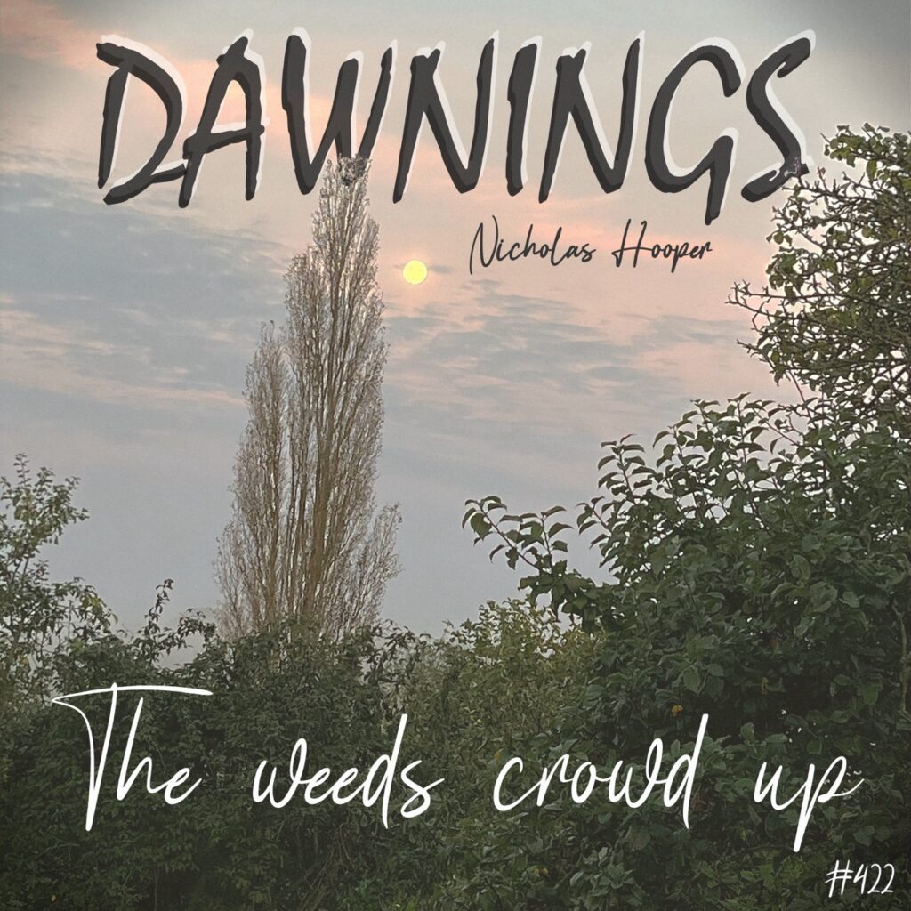 The weeds crowd up