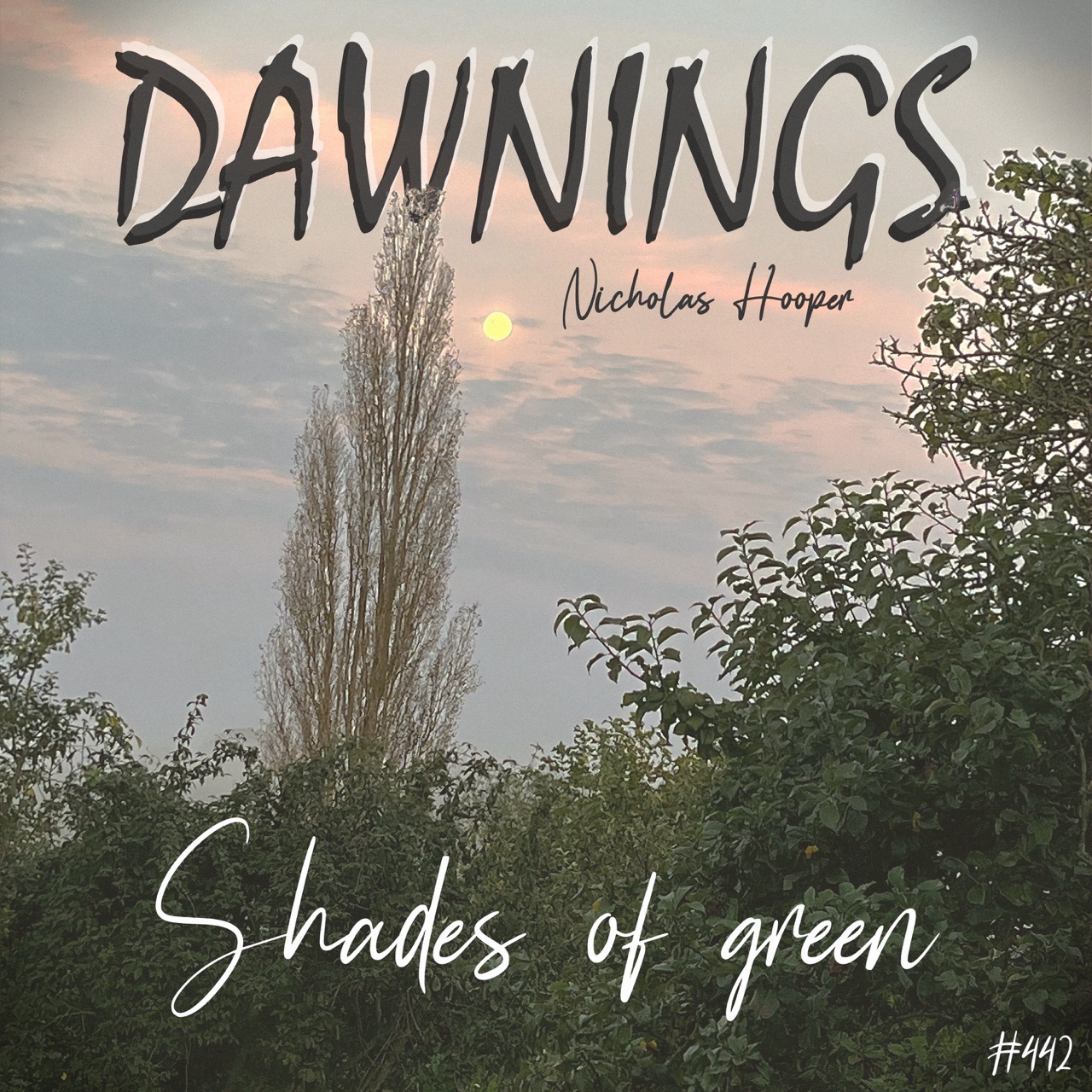 Featured image for “Shades of green”