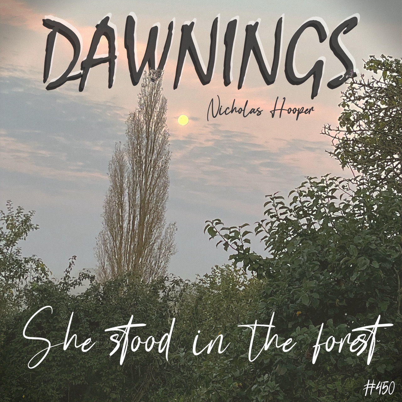 Featured image for “She stood in the forest”