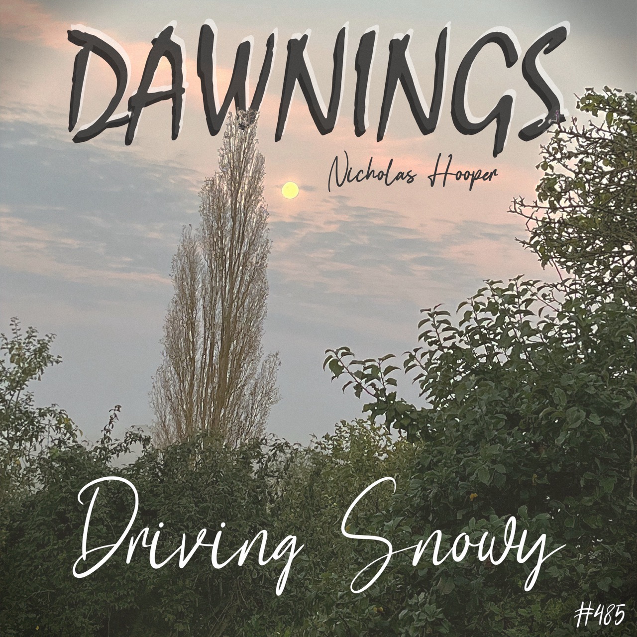 Featured image for “Driving Snowy”