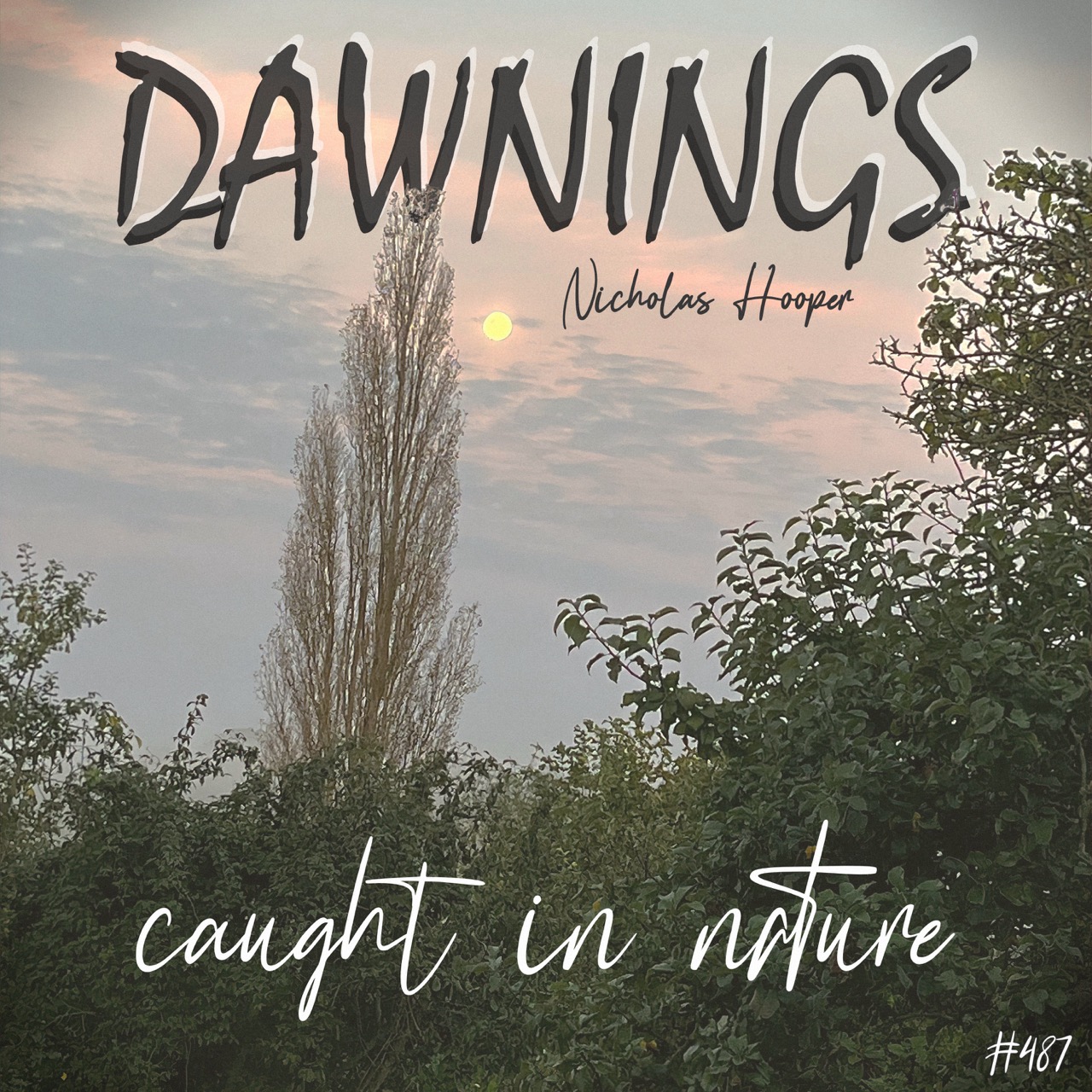 Featured image for “caught in nature”