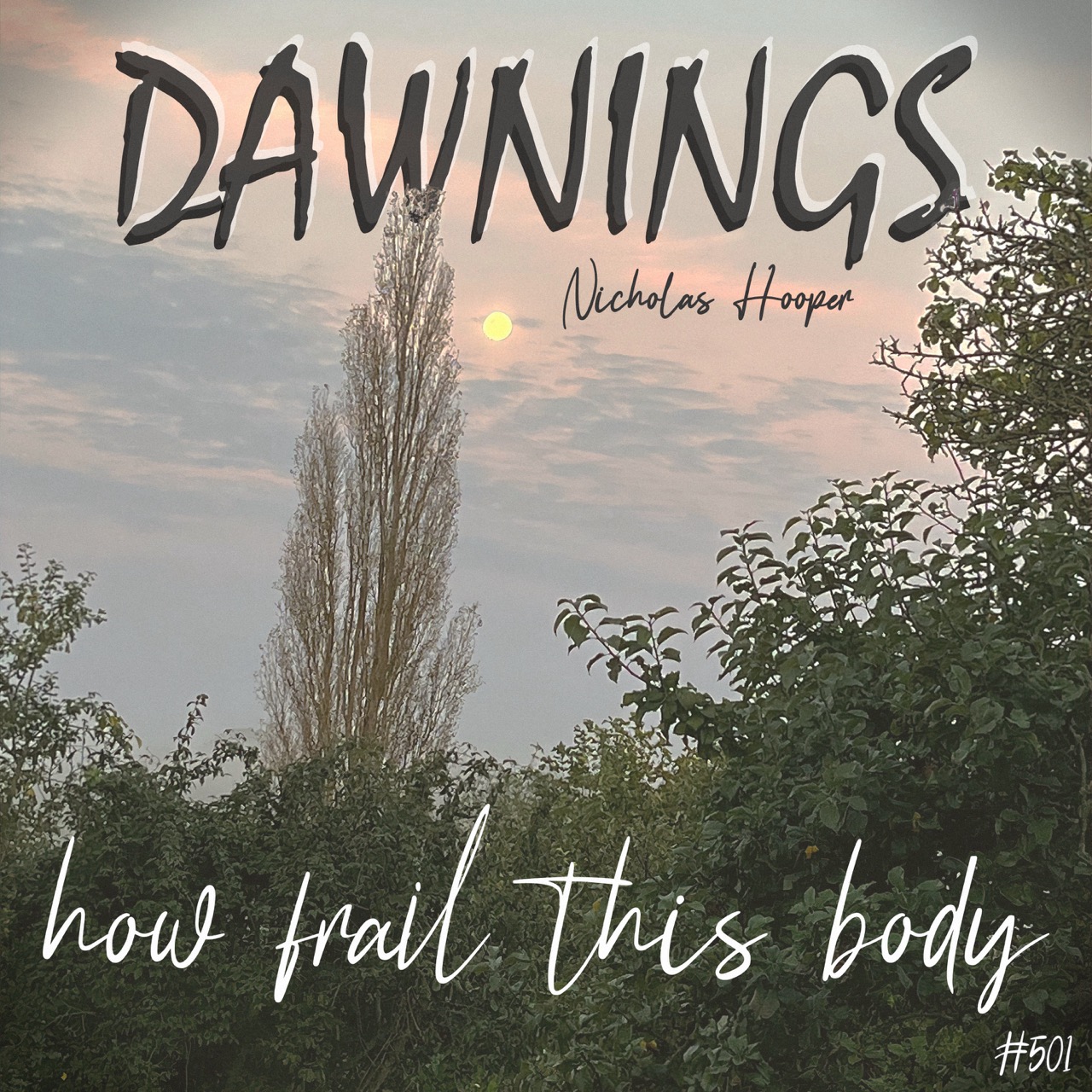 Featured image for “how frail this body”