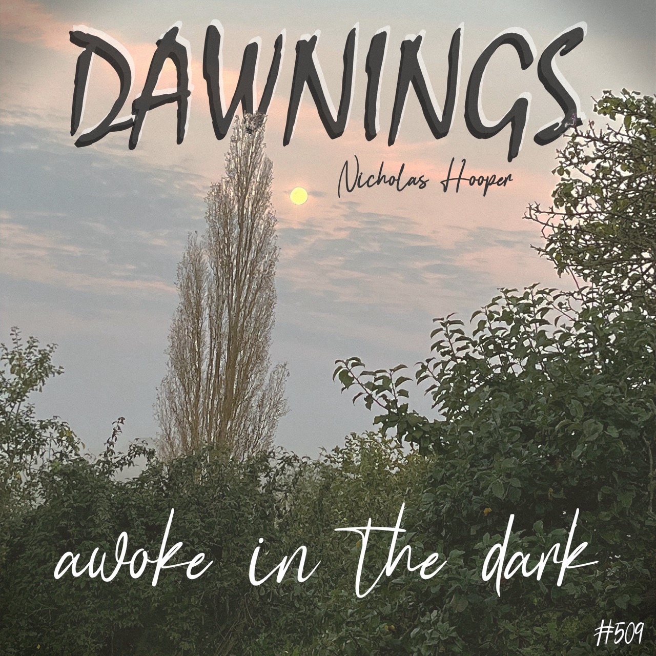 Featured image for “awoke in the dark”