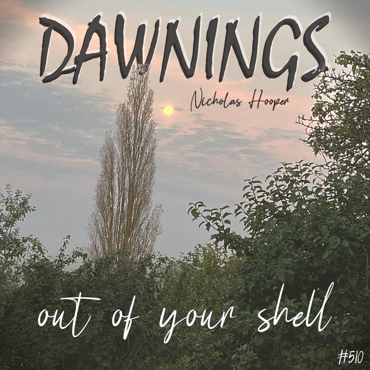 Featured image for “out of your shell”
